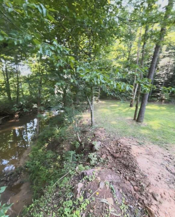 The creek bank under shade trees