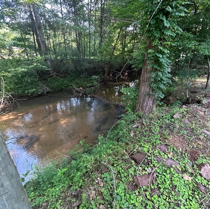 A quiet bend of the creek under green trees