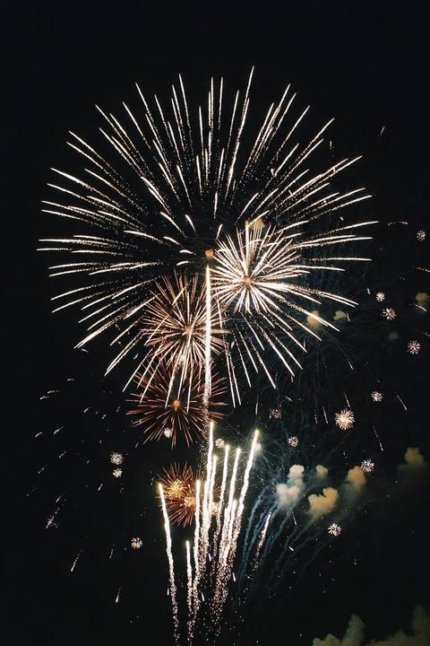 Fireworks bursting over the trees at night