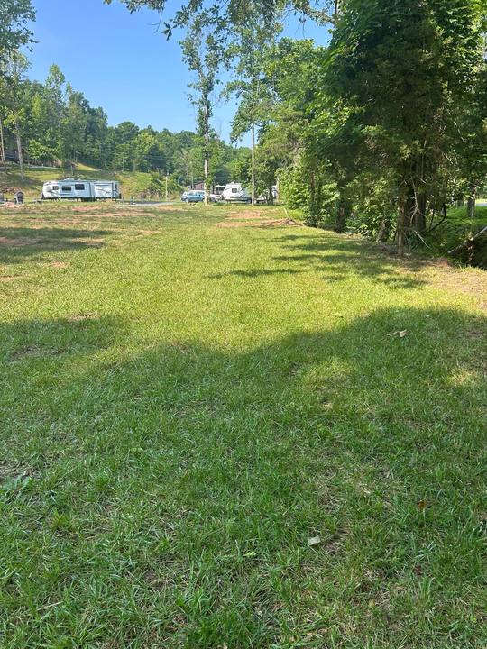 A mowed meadow with campers parked along the tree line