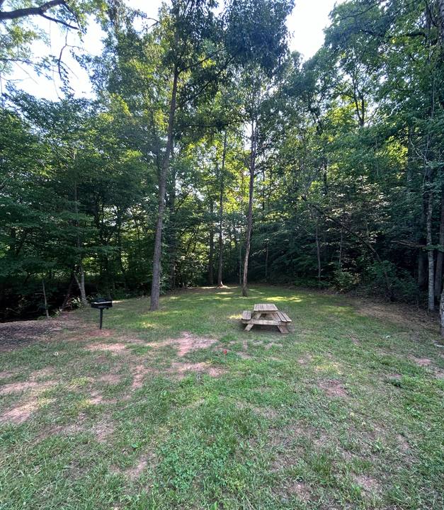 A mowed clearing with a picnic table under shade trees